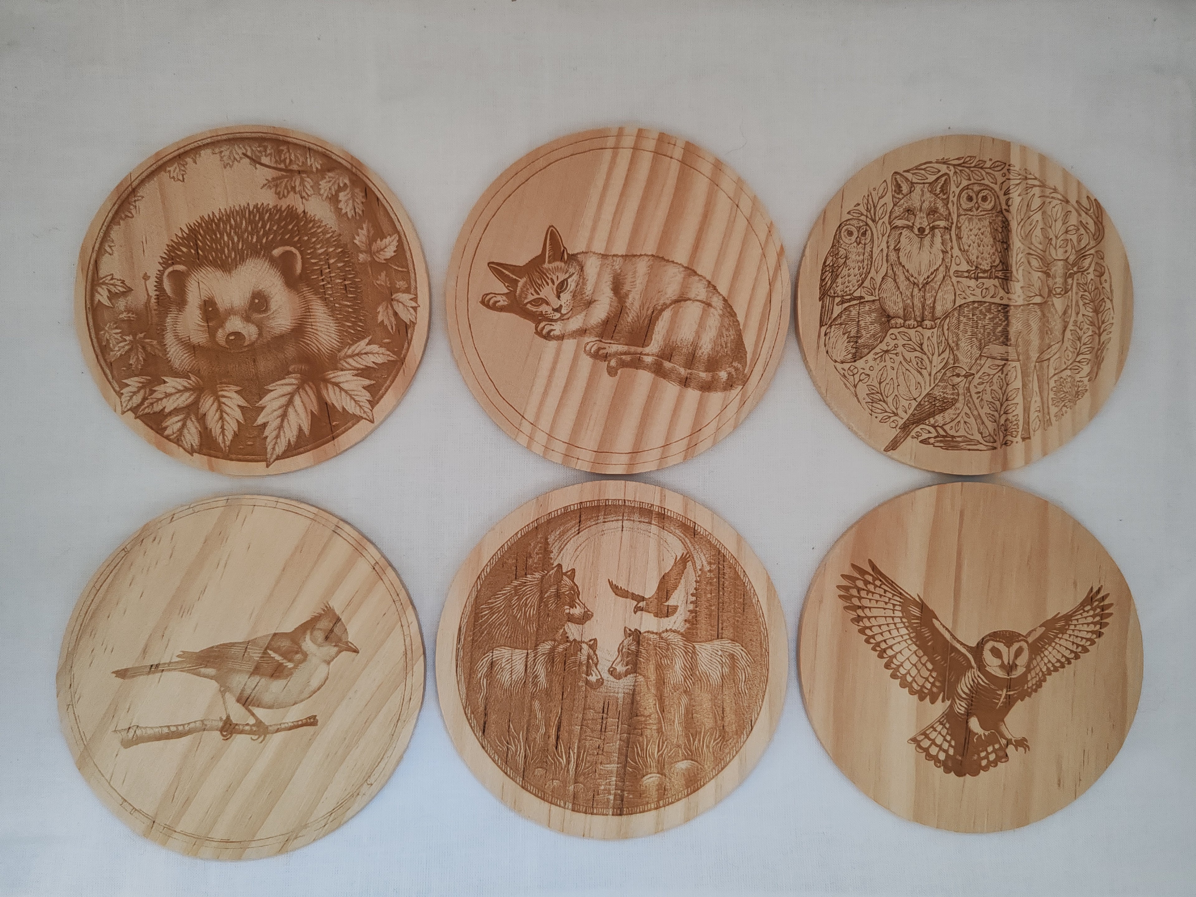 Sous verres Animaux
